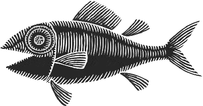 fish small